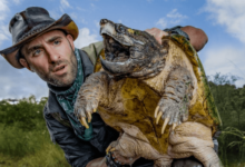 Coyote Peterson Net Worth