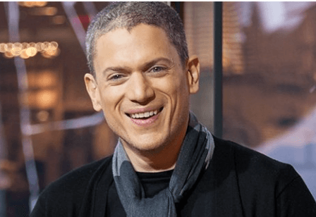 Wentworth Miller Net Worth